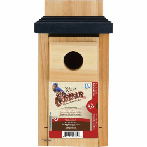 Natures Way Bird Products Bluebird Box House Perspective: back