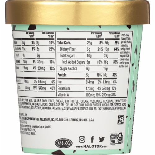 Halo Top® Mint Chocolate Chip Light Ice Cream Pint, 16 oz