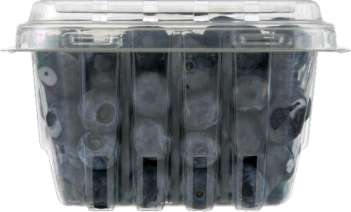 Blueberries Perspective: back