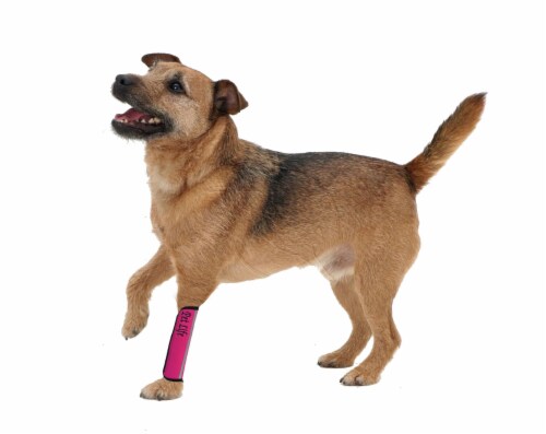 Pet Life Extreme-Neoprene Joint Protective Reflective Pet Sleeves Perspective: back