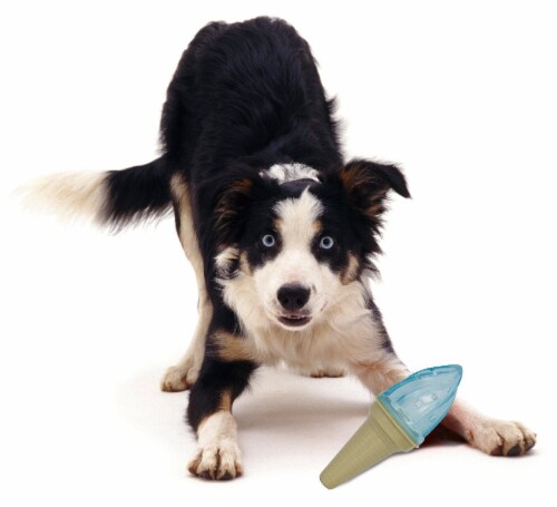 Pet Life Ice Cream Cone Cooling Water Fillable And Freezable Dog Chew And Teether Toy Perspective: back