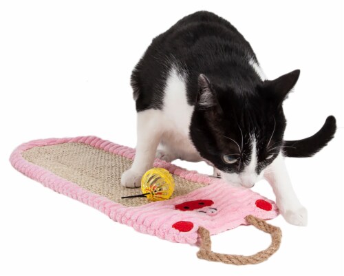 Pet Life Eco Natural Sisal And Jute Hanging Carpet Kitty Cat