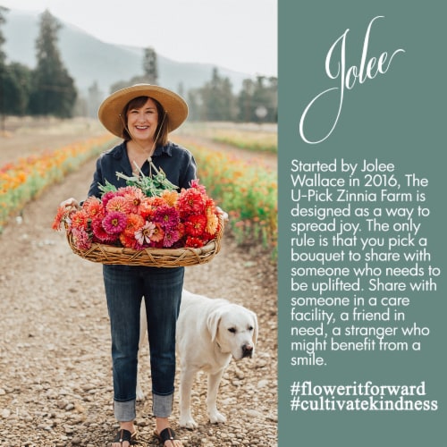 Jolee Semi Sparkling Pinot Gris Oregon White Wine Perspective: back