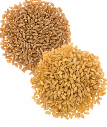 Palouse Brand Wheat Pack: Soft White, Hard Red Spring Wheat Berries, 10 LBS (5 lbs each) Perspective: back