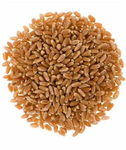 Palouse Brand Hard Red Winter Wheat Berries, 4 LBS Re-Sealable Bag Perspective: back