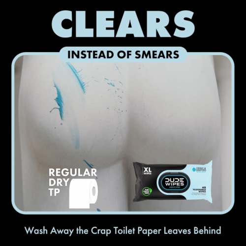DUDE Wipes® XL Unscented Medicated Flushable Wipes Perspective: back