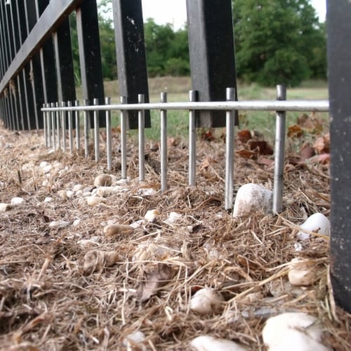 Dig Defence Large Animal Barrier, 10 pk Mariano’s