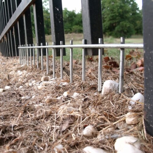 Dig Defence Large Animal Barrier 10 Pk King Soopers