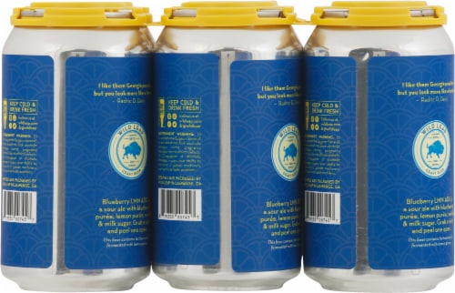 Wild Leap Brew Co. Blueberry Lemonade Sour Ale Beer Perspective: back