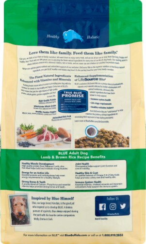 Blue Buffalo Life Protection Formula Lamb & Brown Rice Recipe Natural Adult Dry Dog Food Perspective: back