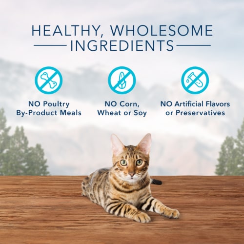 Blue Buffalo Wilderness Grain Free Soft-Moist Chicken & Salmon Cat Treats Perspective: back