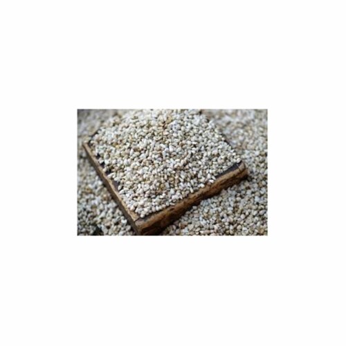 Shafer Seed Company (#281640) Safflower Seed - 25 lb Perspective: back