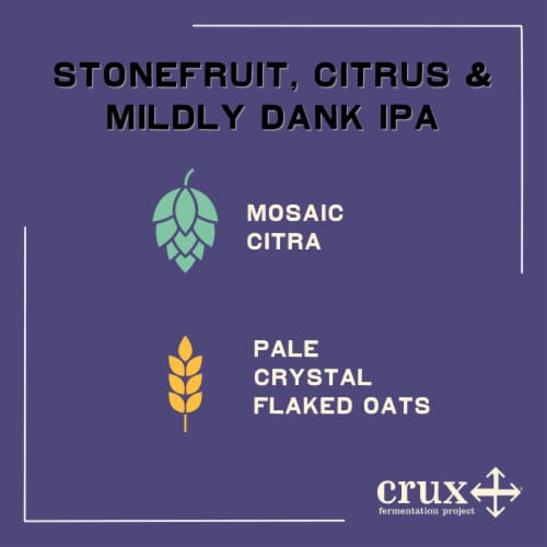Crux Fermentation Project Gimme Mo IPA Craft Beer Perspective: back