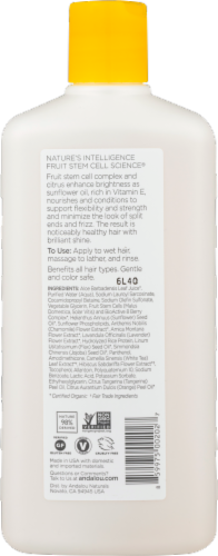 Andalou Naturals Sunflower And Citrus Brilliant Shine Shampoo Perspective: back
