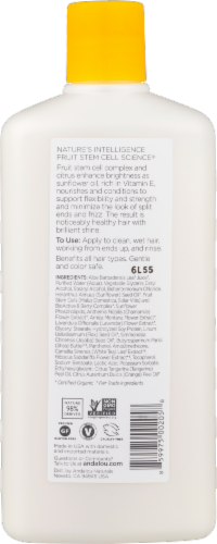 Andalou Naturals Sunflower And Citrus Shine Conditioner Perspective: back