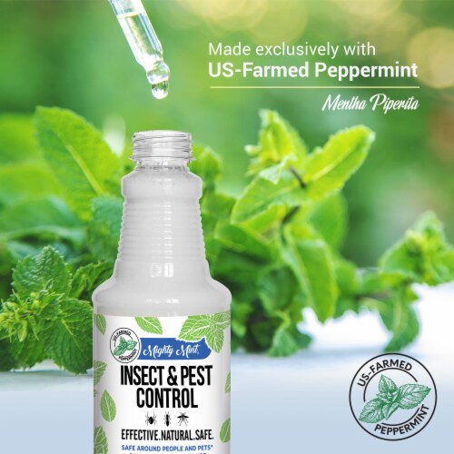 Mighty Mint Insect & Pest Control Spray Perspective: back