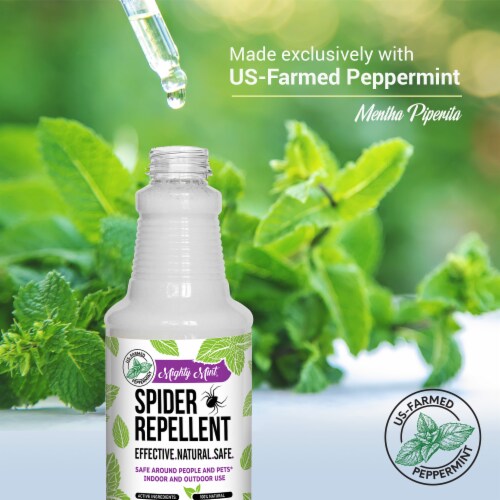 Mighty Mint® Spider Repellant Perspective: back