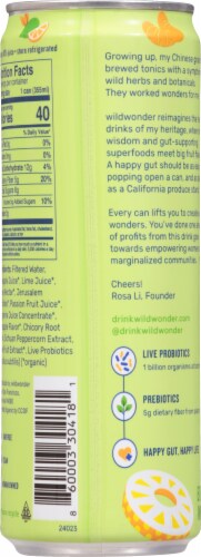 Wildwonder® Pineapple Paradise Prebiotic + Probiotic Sparkling Drink Perspective: back