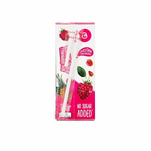 Blended Naturals™ Fab Fruit Punch Kids Juice Boxes Perspective: back
