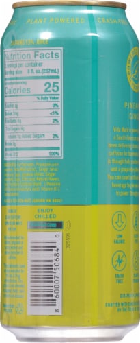 Vida Mate Pineapple Ginger Yerba Mate Tea Perspective: back