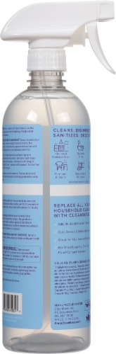 CleanBoss Fresh Thyme Multi-Surface Disinfectant & Cleaner Spray Perspective: back