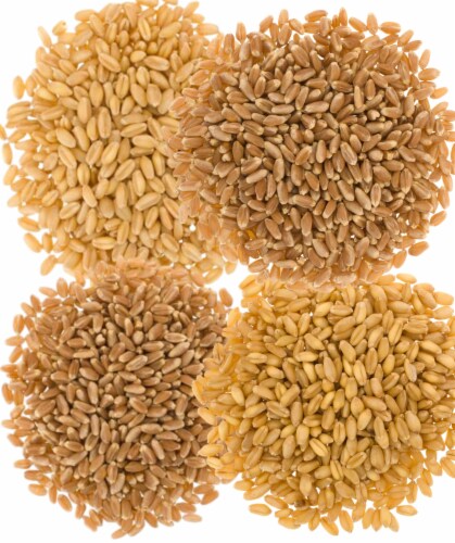 Palouse Brand Wheat Berries: Soft White, Red Spring, Red Winter, Hard White, 100 lbs total Perspective: back
