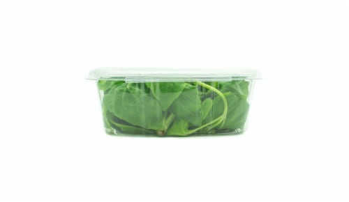 CityFarms Alaska Fresh Basil Perspective: back