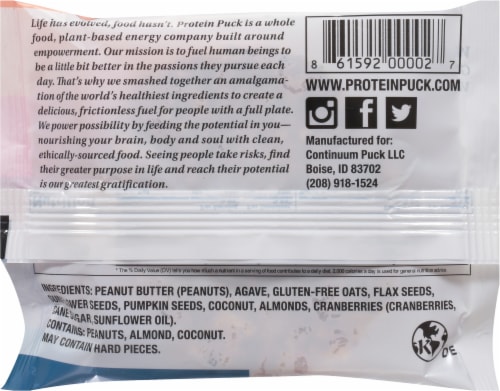 Protein Puck Wanderlust Vegan Bar Perspective: back
