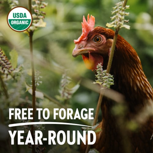 Vital Farms® Pasture-Raised Large Brown Organic Eggs Perspective: back