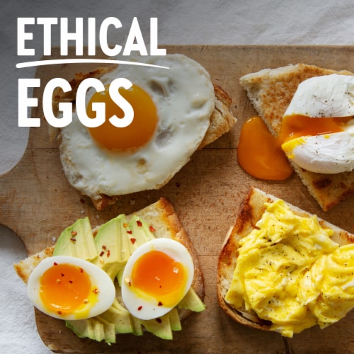 Vital Farms® Pasture-Raised Large Eggs Perspective: back