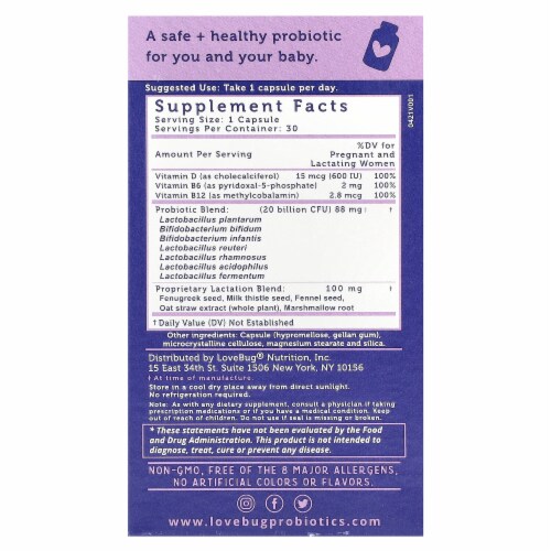 LoveBug Probiotics Postnatal Probiotic 20 Billion CFU - 30 Count Perspective: back