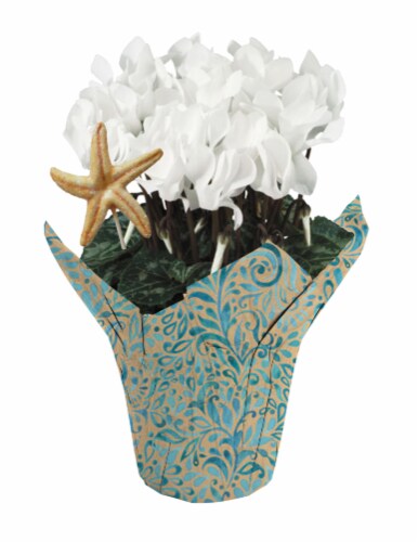 Blooming Flowers w/ Starfish Pick - Assorted Perspective: back