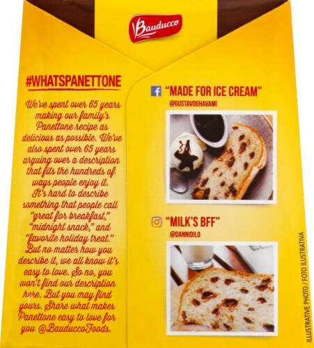 Bauducco® Mini Chocottone Specialty Cake Perspective: back