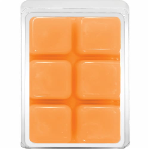 Fusion™ Vanilla Pumpkin Cream Wax Perspective: back