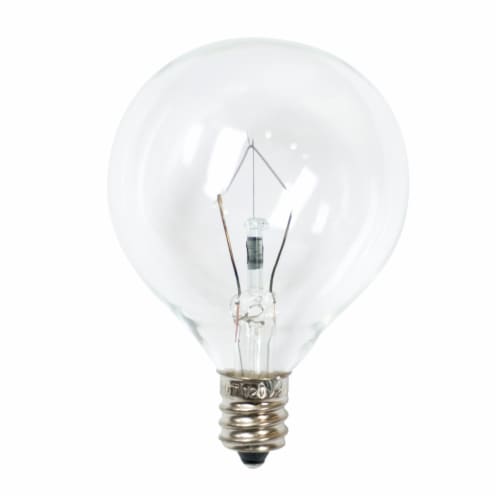 Oak & Rye 25-Watt G50 Light Bulbs - Clear Perspective: back