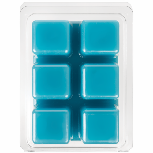 Fusion™ Scented Wax Cubes Eucalyptus Sea Salt Perspective: back