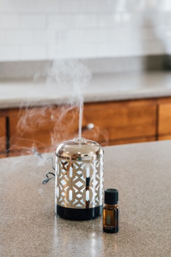 ScentSationals Contemporary Decorative Eucalyptus Aromatherapy Essential Oil, 15ml Perspective: back