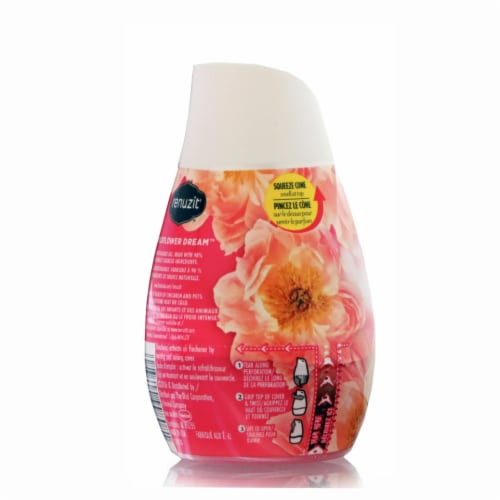 RENUZIT AIR FRESHENER WILDFLOWER DREAM 198g Perspective: back