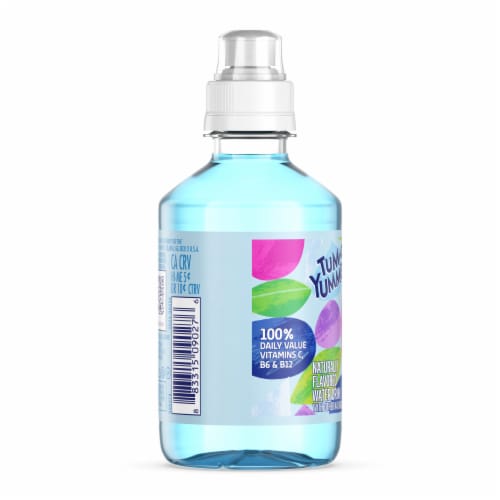 Tum-E Yummies Big Berry Blast Flavored Bottled Water Perspective: back