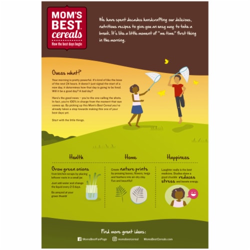 Mom's Best® Toasted Wheatfuls Cereal Perspective: back