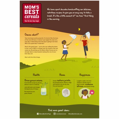 Mom's Best® Toasted Wheatfuls Cereal Perspective: back
