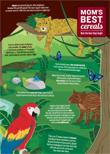 Mom's Best Jungle Berry Crunch Cereal Perspective: back