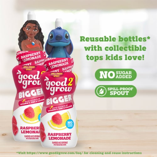 good2grow® Assorted Raspberry Lemonade Flavored Juice Beverage Perspective: back
