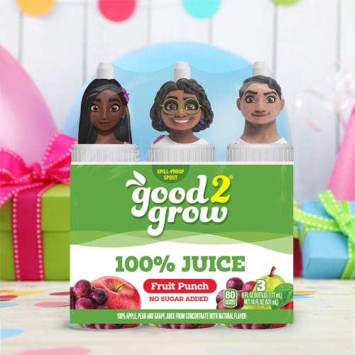 good2grow® 100% Fruit Punch Assorted Characters Juice Perspective: back