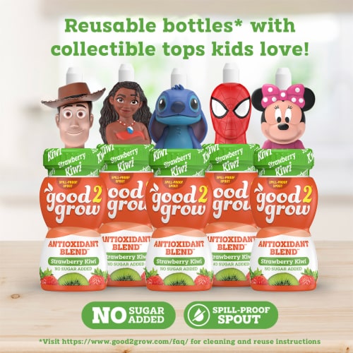 Good 2 Grow® Assorted Character Strawberry Kiwi Juice Perspective: back