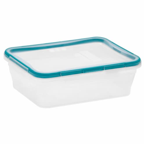 Snapware® Total Solution Food Storage Container - Clear Perspective: back