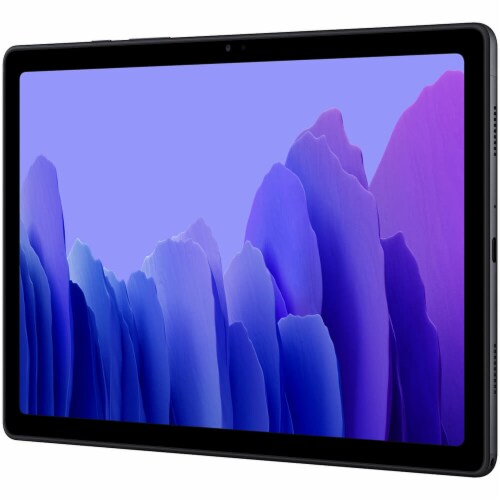 Samsung SM-T500NZA Tab A7 10.4 Wi-Fi, Gray Perspective: back