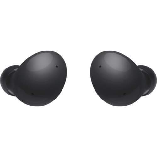 Samsung Galaxy Buds 2 - Graphite Perspective: back