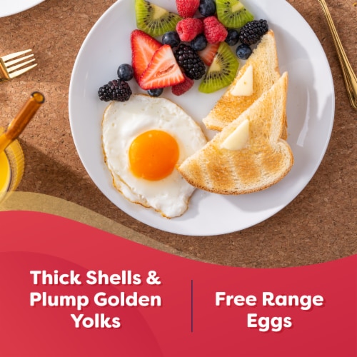 Happy Egg Co.® Free Range Large Brown Eggs Perspective: back