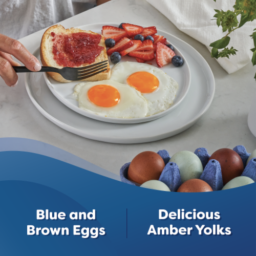 Happy Egg Co.® Free Range Heritage Breed Large Blue & Brown Eggs Perspective: back
